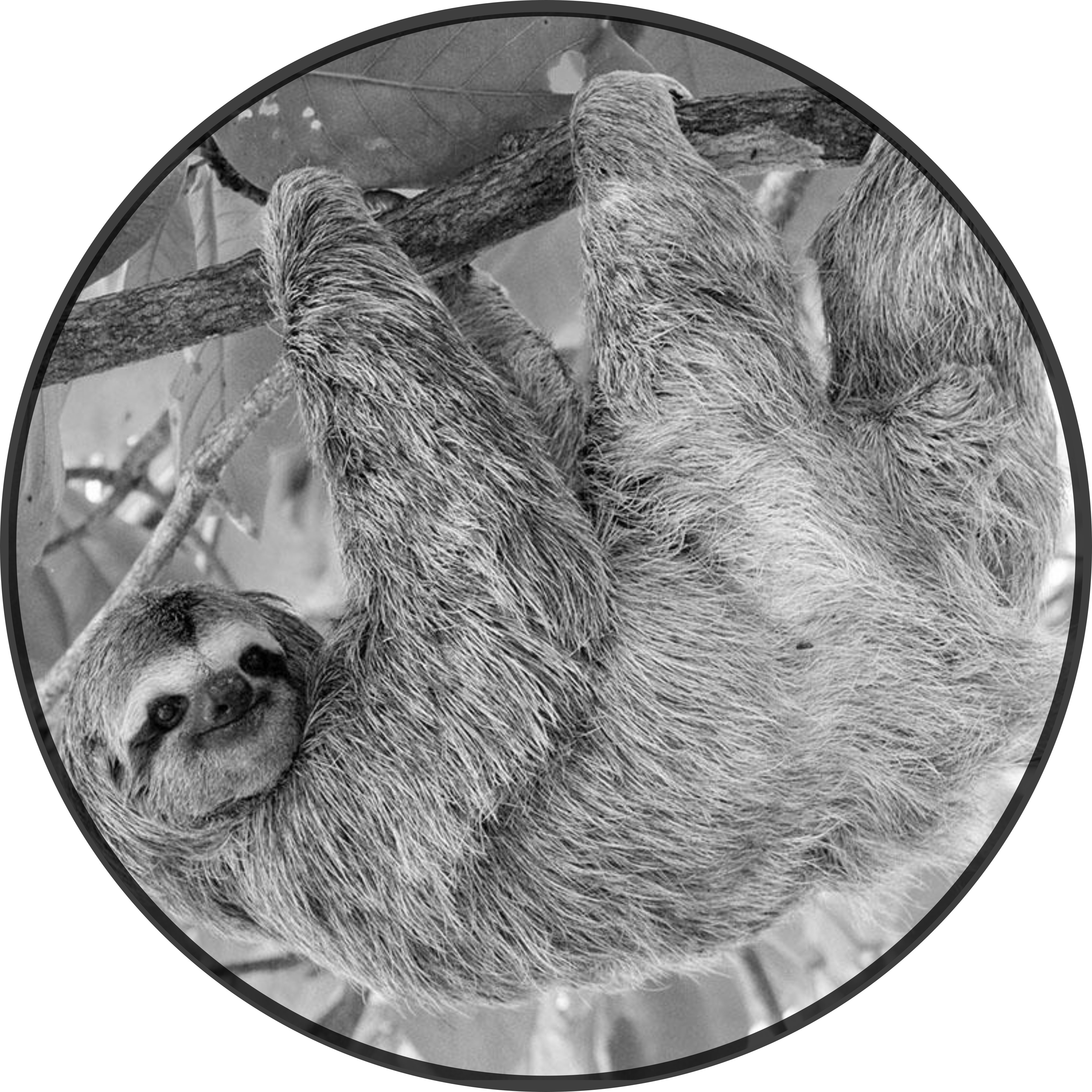 Patient Image