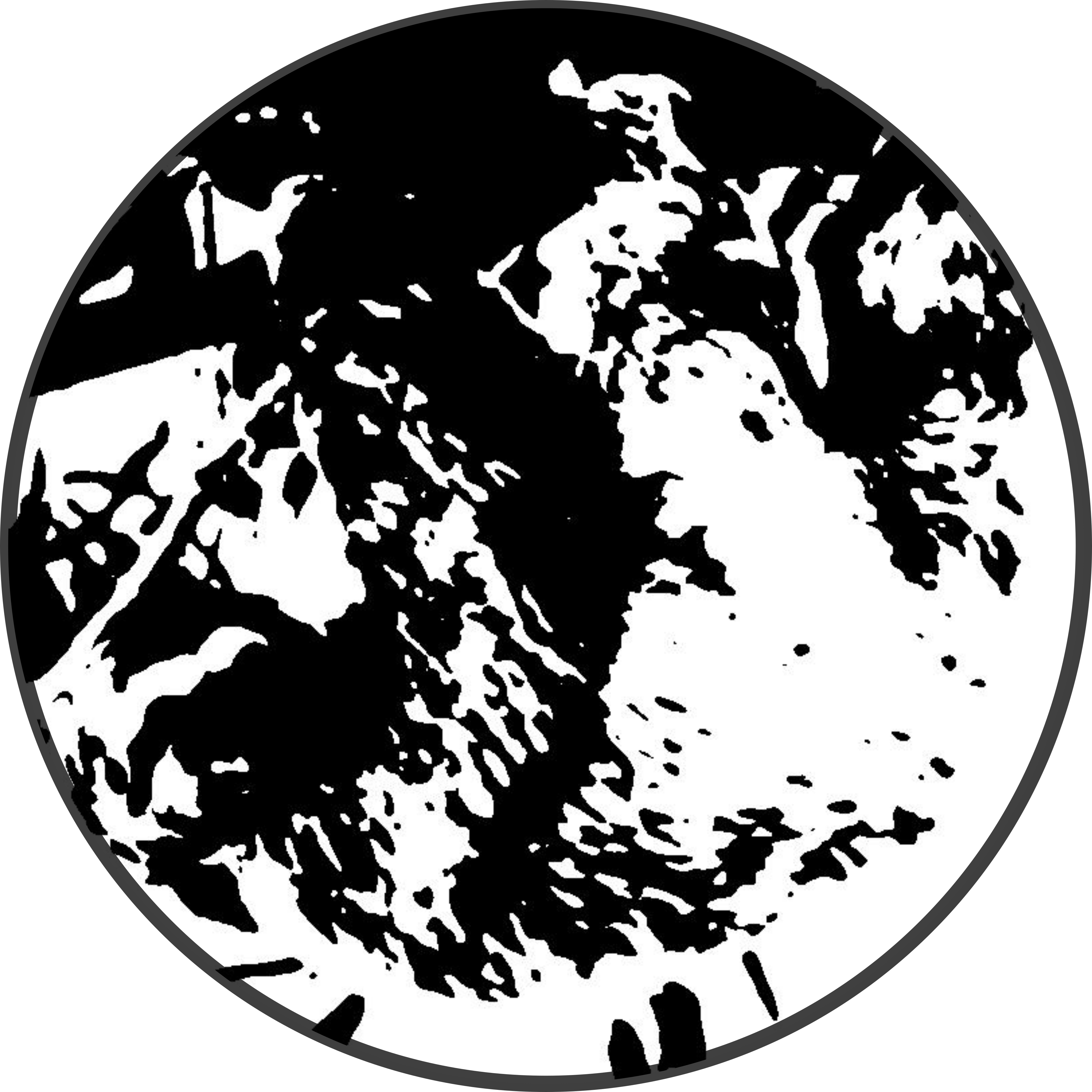 Patient Image