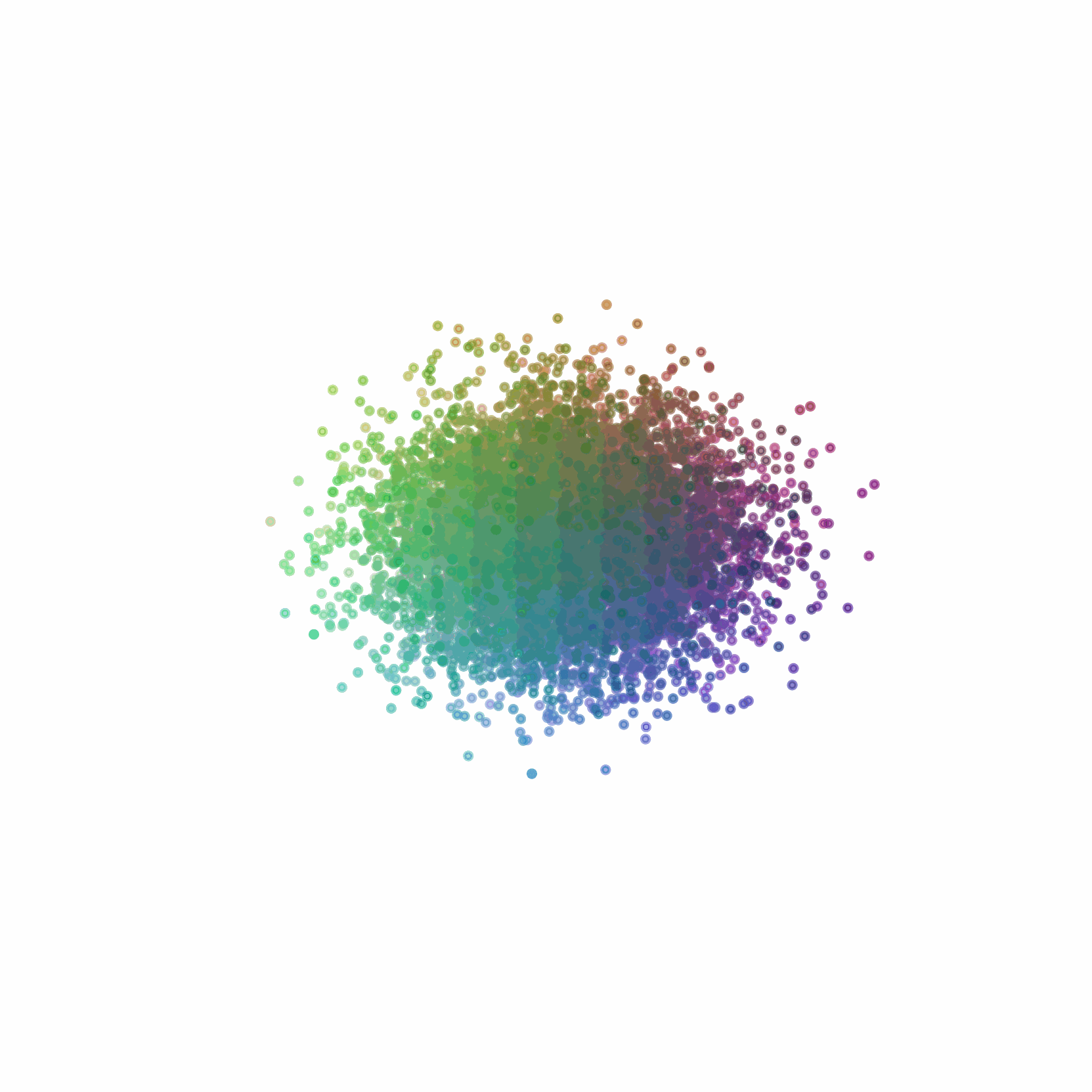 Paradigm Image